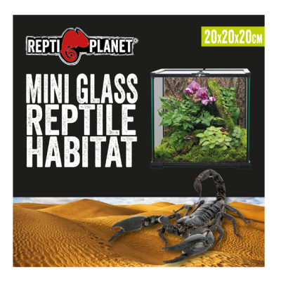 Terrario de cristal Repti planet 20x20x20 